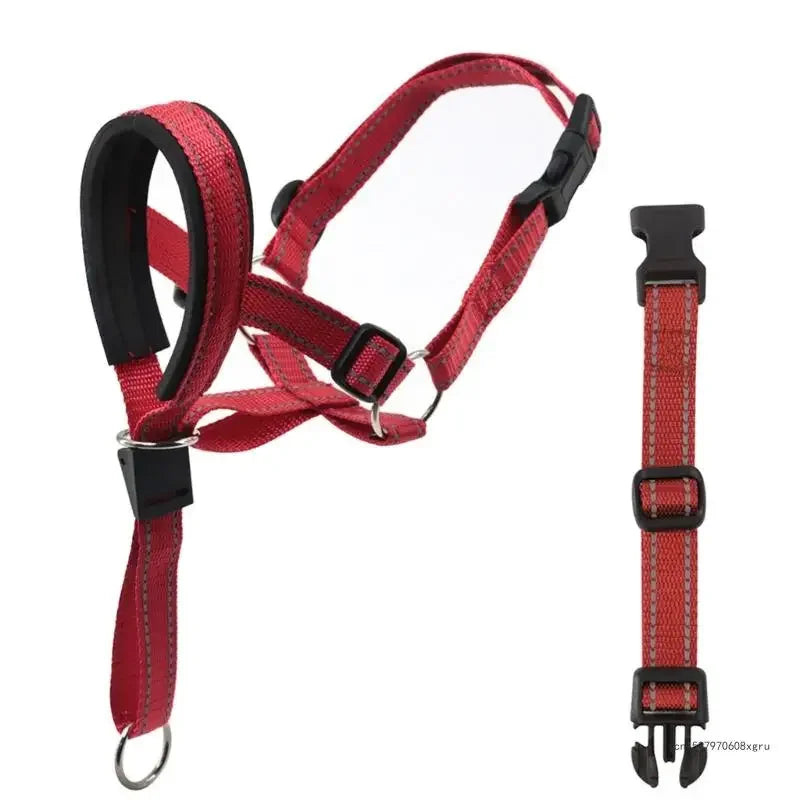 "DogFit" – Moderno y funcional