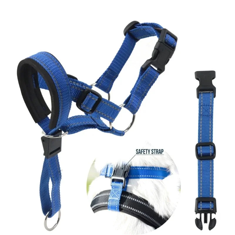"DogFit" – Moderno y funcional