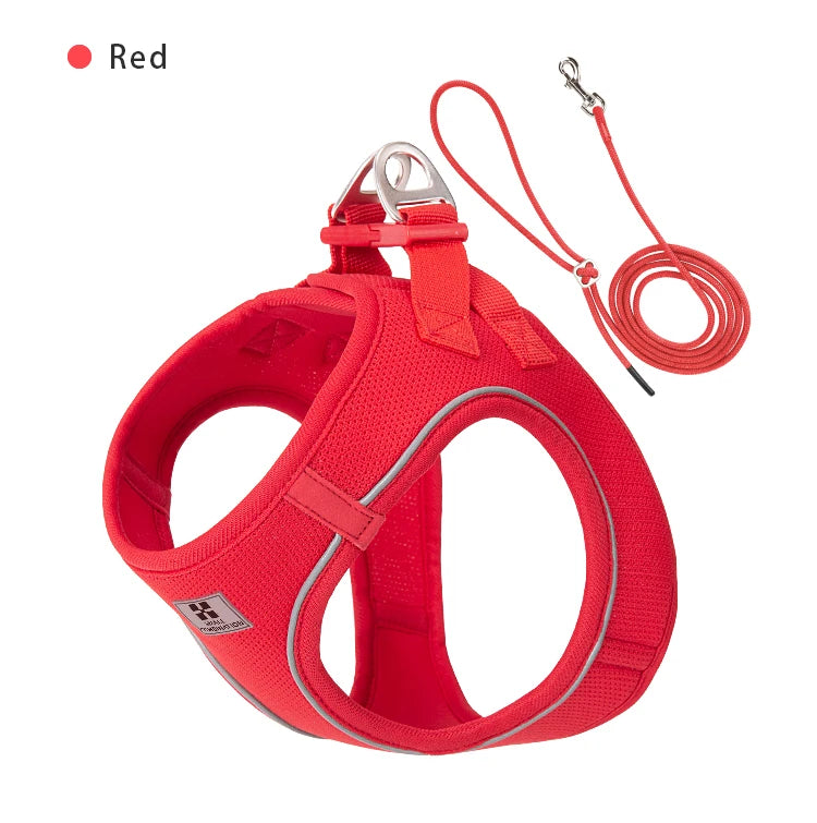 "ControlCan" – Ideal para perros fuertes o en entrenamiento