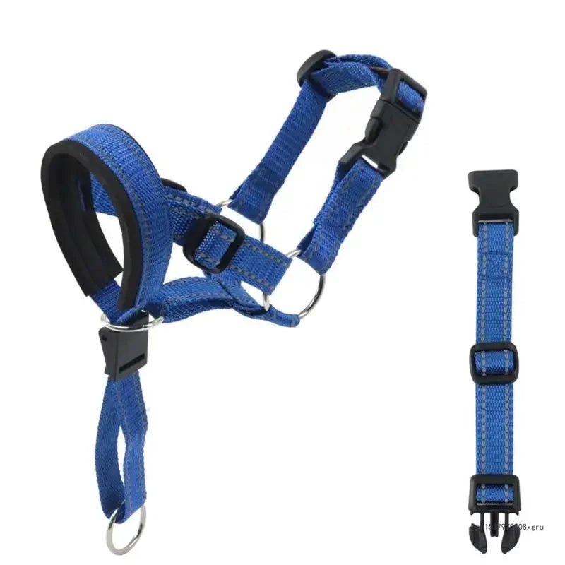 "DogFit" – Moderno y funcional