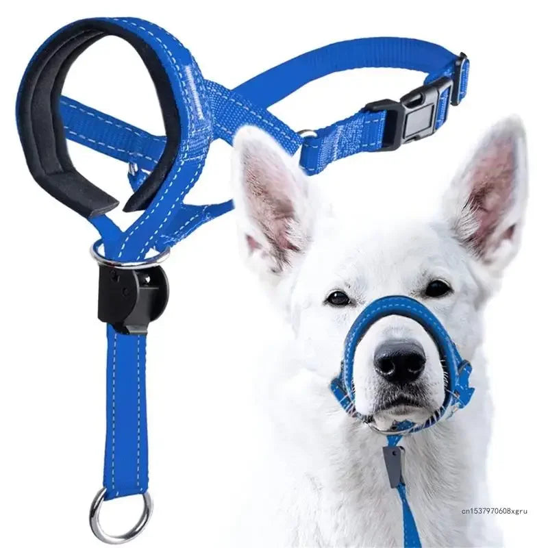 "DogFit" – Moderno y funcional