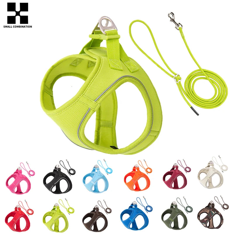 "ControlCan" – Ideal para perros fuertes o en entrenamiento