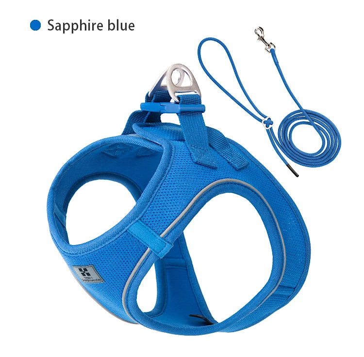 "ControlCan" – Ideal para perros fuertes o en entrenamiento
