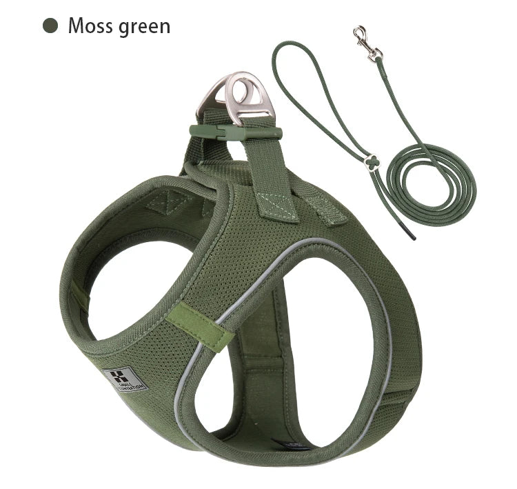 "ControlCan" – Ideal para perros fuertes o en entrenamiento
