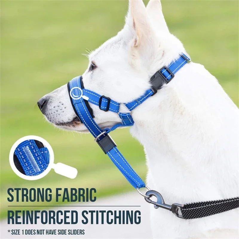 "DogFit" – Moderno y funcional