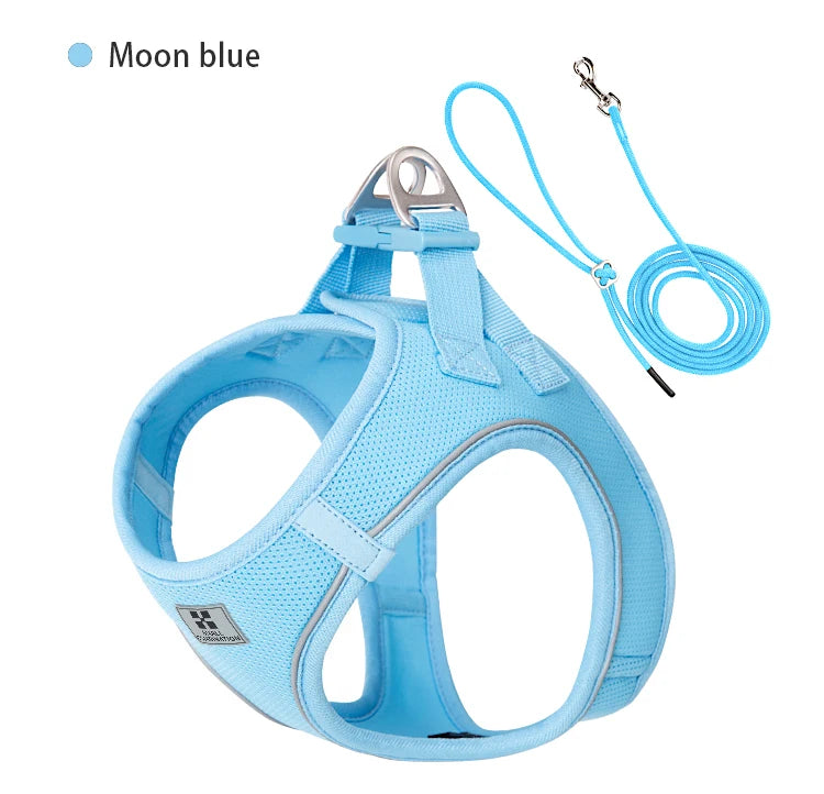 "ControlCan" – Ideal para perros fuertes o en entrenamiento