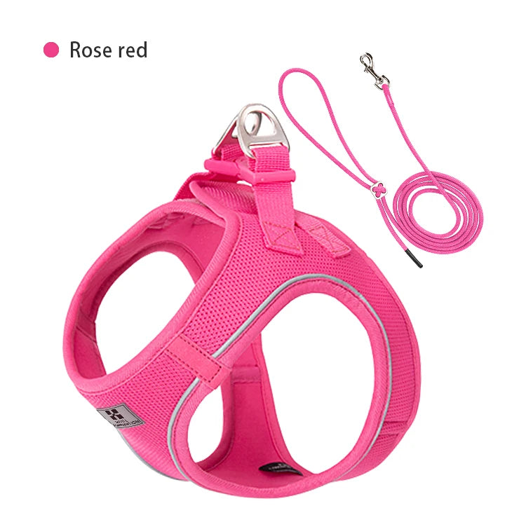 "ControlCan" – Ideal para perros fuertes o en entrenamiento