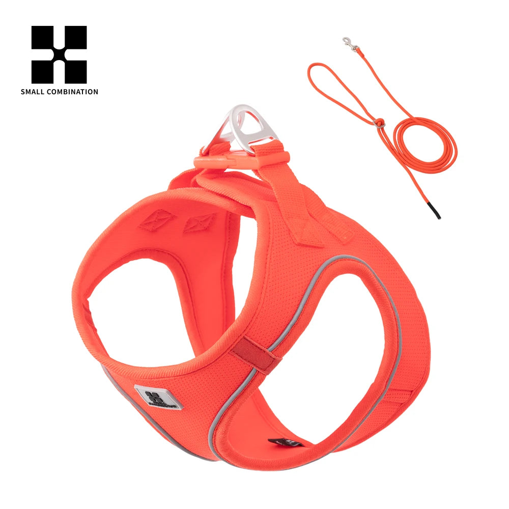 "ControlCan" – Ideal para perros fuertes o en entrenamiento