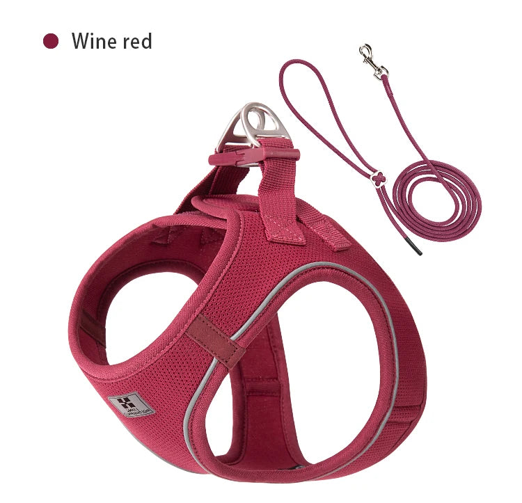 "ControlCan" – Ideal para perros fuertes o en entrenamiento
