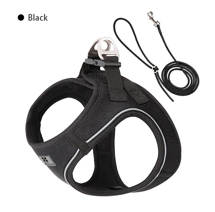 "ControlCan" – Ideal para perros fuertes o en entrenamiento